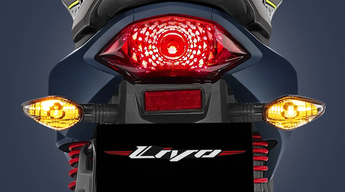 Strong Rear Appearance